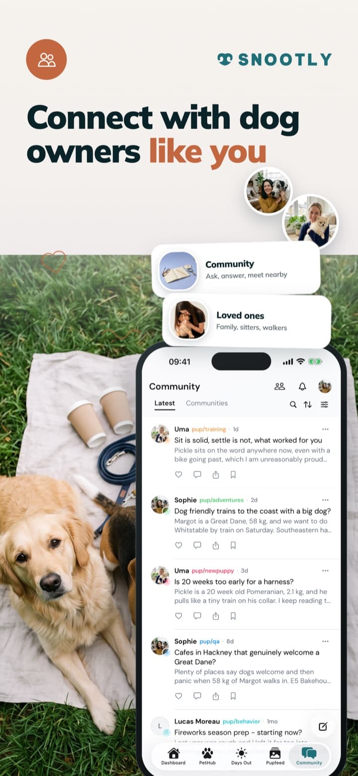 Connect with dog owners like you