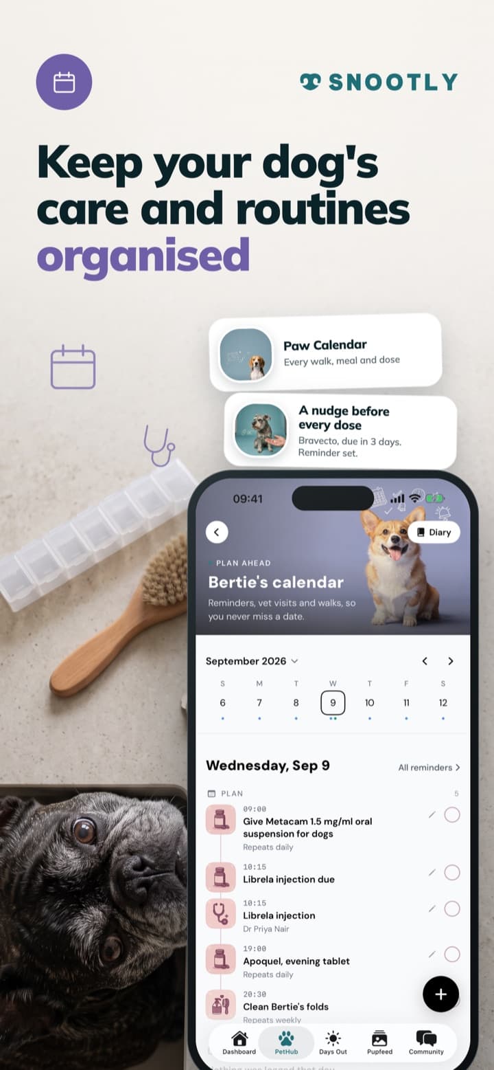 Keep your dog's care and routines organised