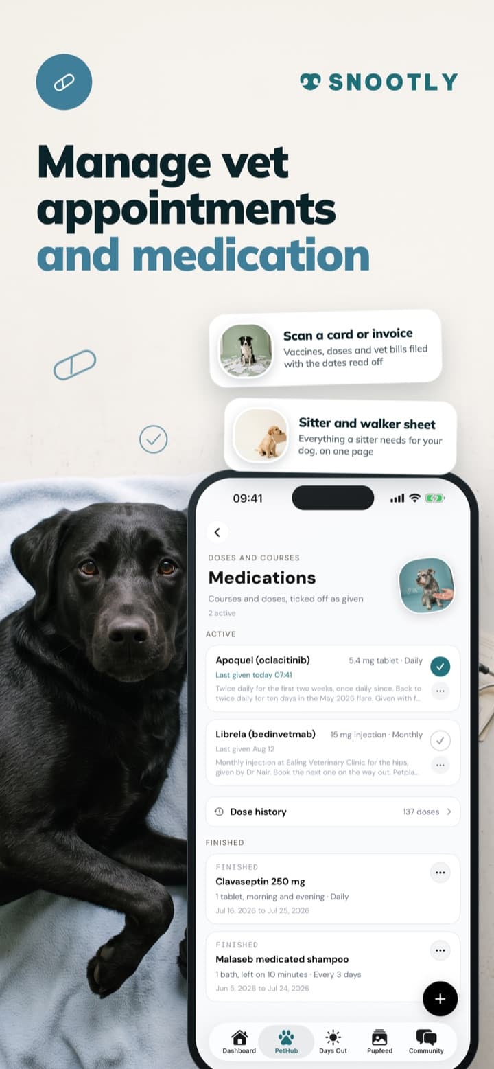 Manage vet appointments and medication